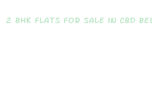 2 bhk flats for sale in cbd belapur navi mumbai