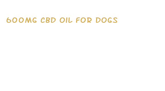 600mg cbd oil for dogs