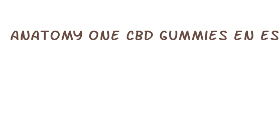 anatomy one cbd gummies en espa ol