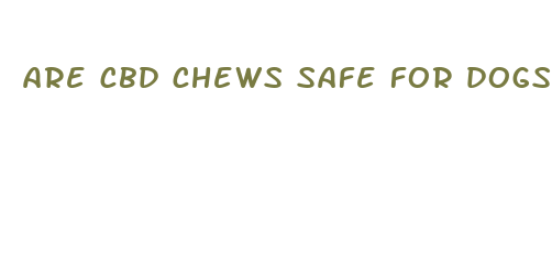 are cbd chews safe for dogs