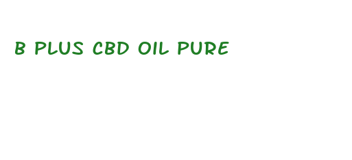 b plus cbd oil pure