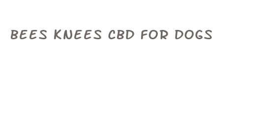 bees knees cbd for dogs