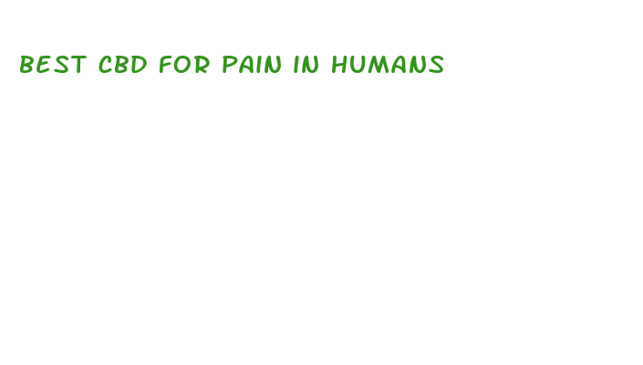 best cbd for pain in humans