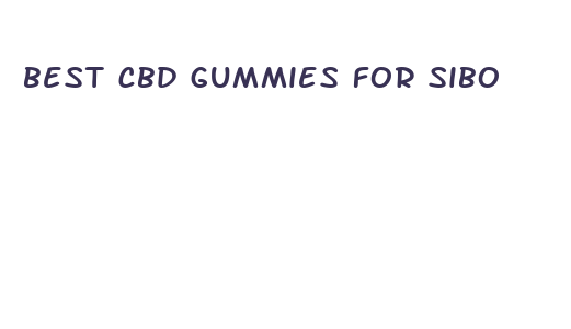 best cbd gummies for sibo