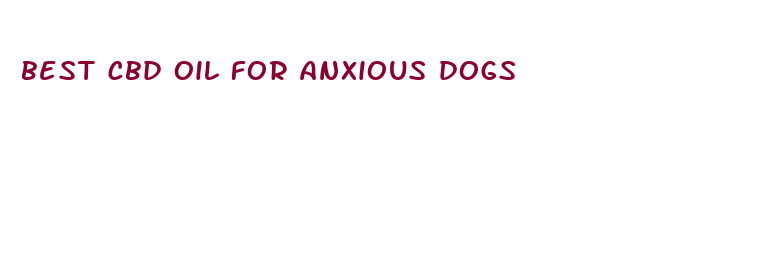 best cbd oil for anxious dogs