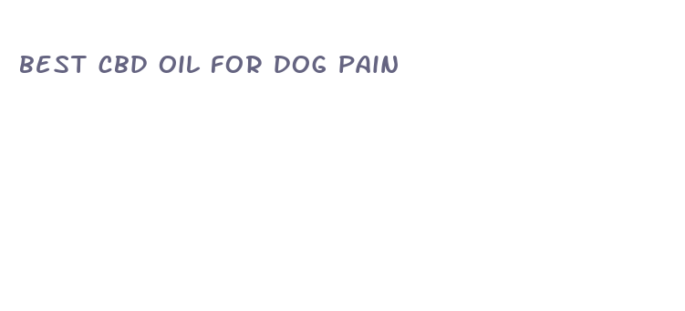 best cbd oil for dog pain