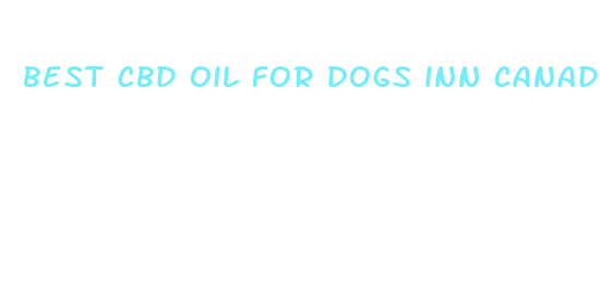 best cbd oil for dogs inn canada