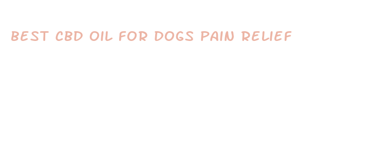 best cbd oil for dogs pain relief