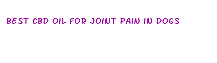 best cbd oil for joint pain in dogs