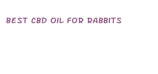 best cbd oil for rabbits