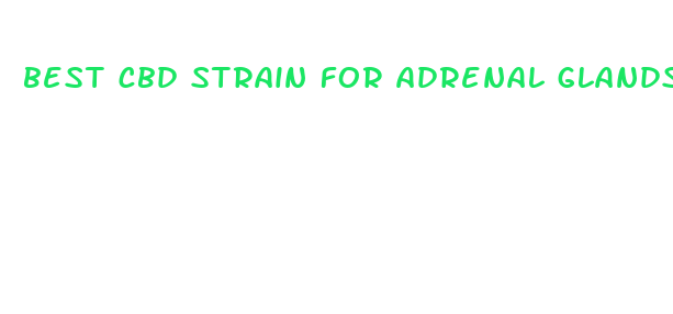 best cbd strain for adrenal glands