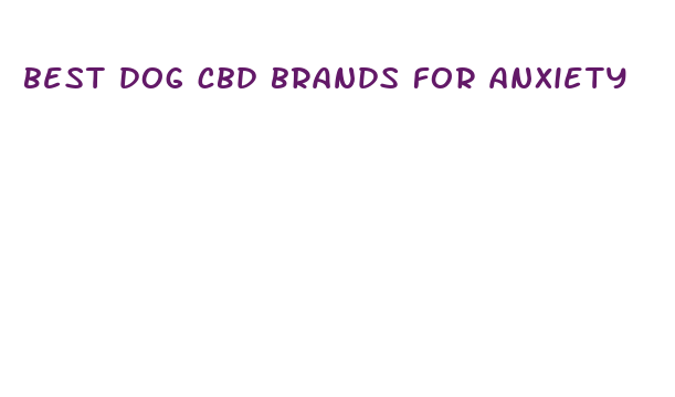 best dog cbd brands for anxiety