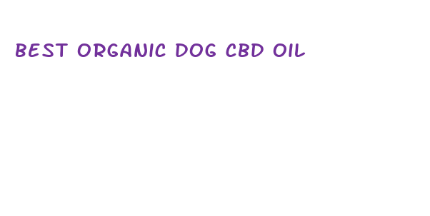 best organic dog cbd oil