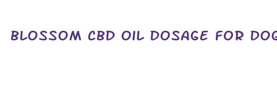 blossom cbd oil dosage for dogs