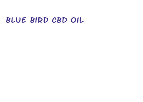 blue bird cbd oil