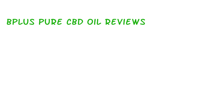 bplus pure cbd oil reviews