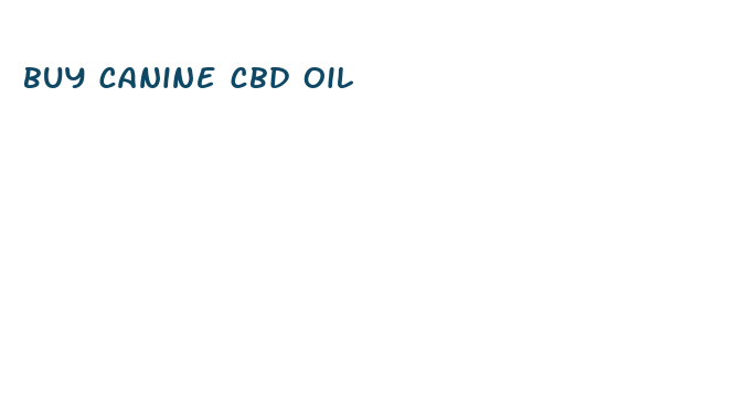 buy canine cbd oil