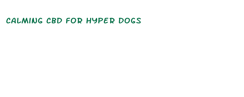 calming cbd for hyper dogs