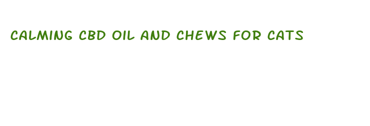 calming cbd oil and chews for cats