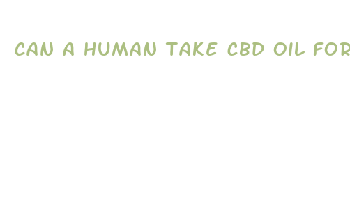 can a human take cbd oil for dogs