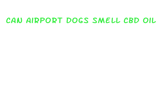 can airport dogs smell cbd oil