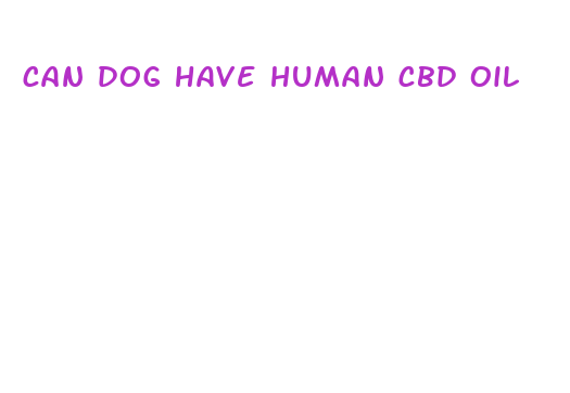 can dog have human cbd oil