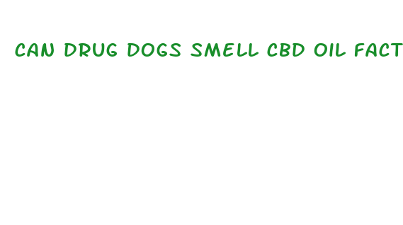 can drug dogs smell cbd oil factory sealed