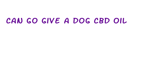 can go give a dog cbd oil