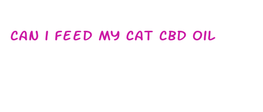 can i feed my cat cbd oil