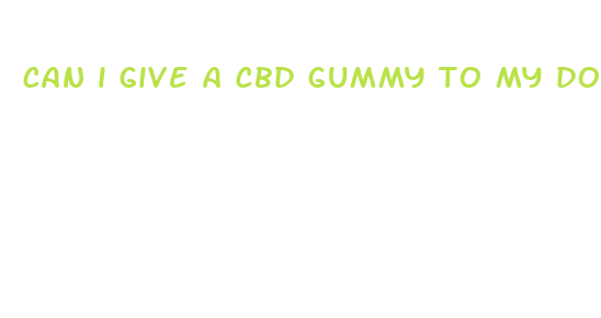 can i give a cbd gummy to my dog