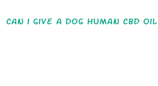 can i give a dog human cbd oil