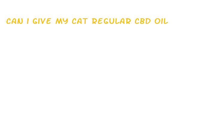 can i give my cat regular cbd oil