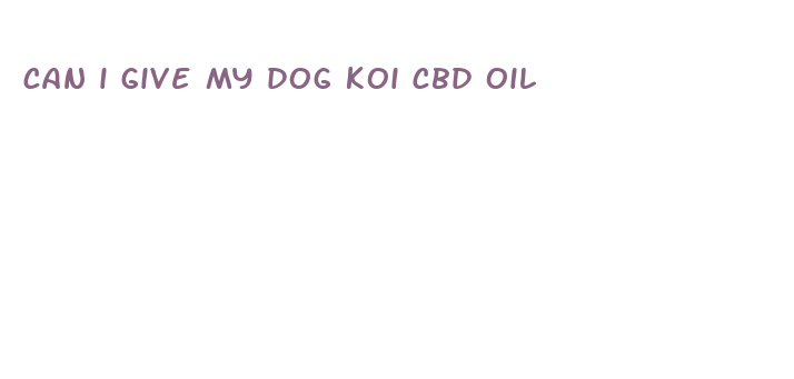 can i give my dog koi cbd oil