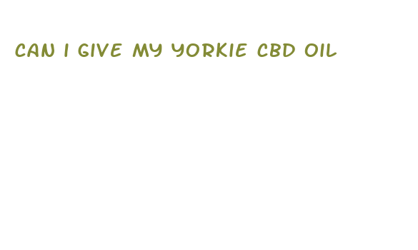 can i give my yorkie cbd oil