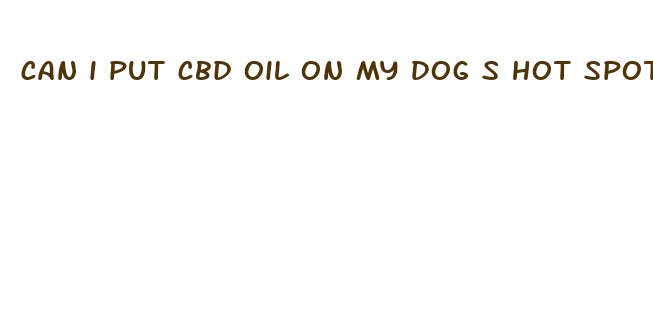 can i put cbd oil on my dog s hot spot