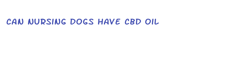 can nursing dogs have cbd oil