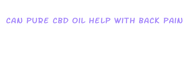 can pure cbd oil help with back pain