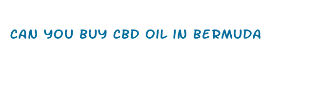 can you buy cbd oil in bermuda