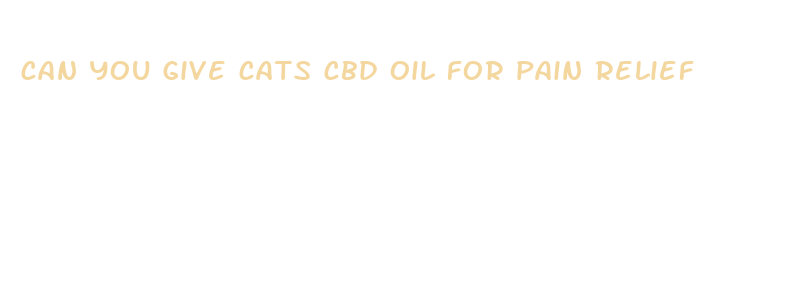 can you give cats cbd oil for pain relief