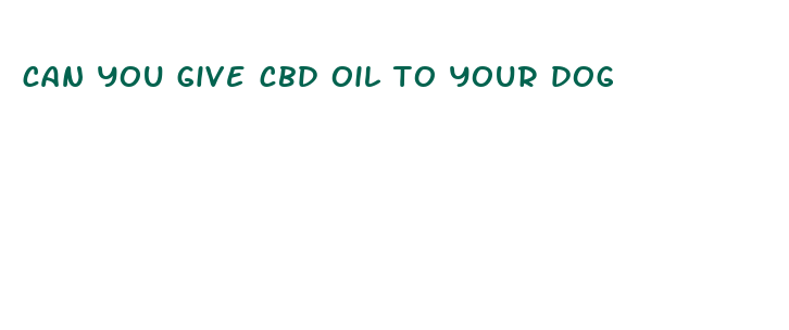 can you give cbd oil to your dog