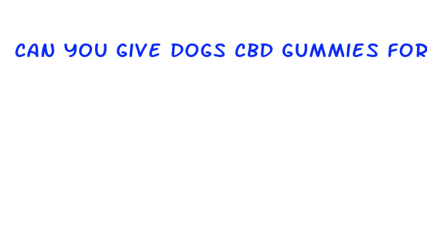 can you give dogs cbd gummies for anxiety