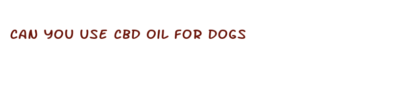 can you use cbd oil for dogs