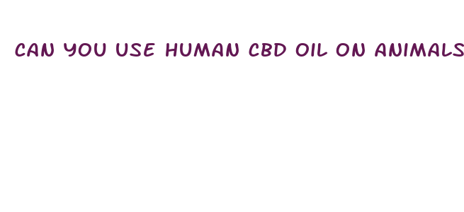 can you use human cbd oil on animals