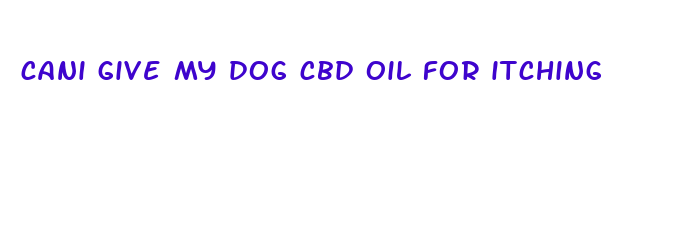 cani give my dog cbd oil for itching