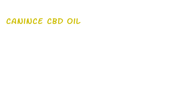 canince cbd oil