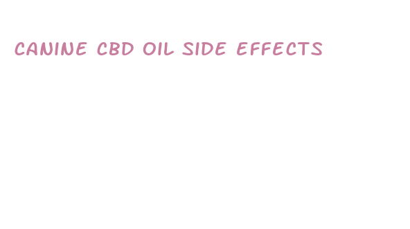 canine cbd oil side effects