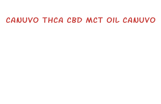 canuvo thca cbd mct oil canuvo