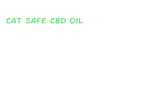 cat safe cbd oil