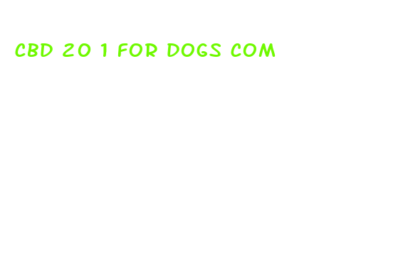 cbd 20 1 for dogs com