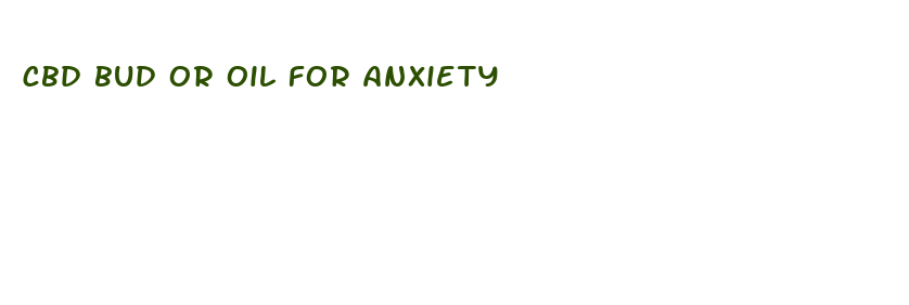 cbd bud or oil for anxiety